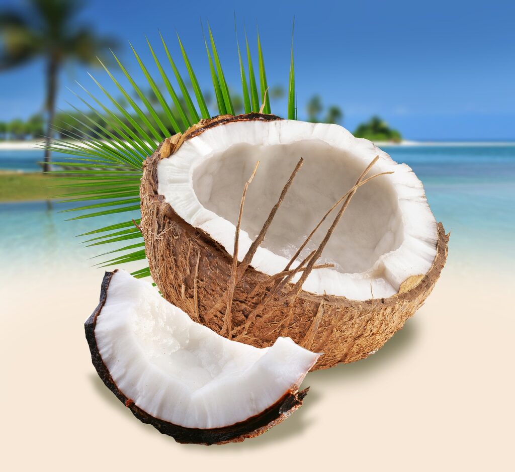 coconuts on the beach, summer, beach-4868864.jpg